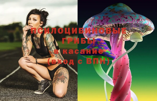 apvp Билибино