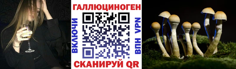 Галлюциногенные грибы мицелий  Камызяк 